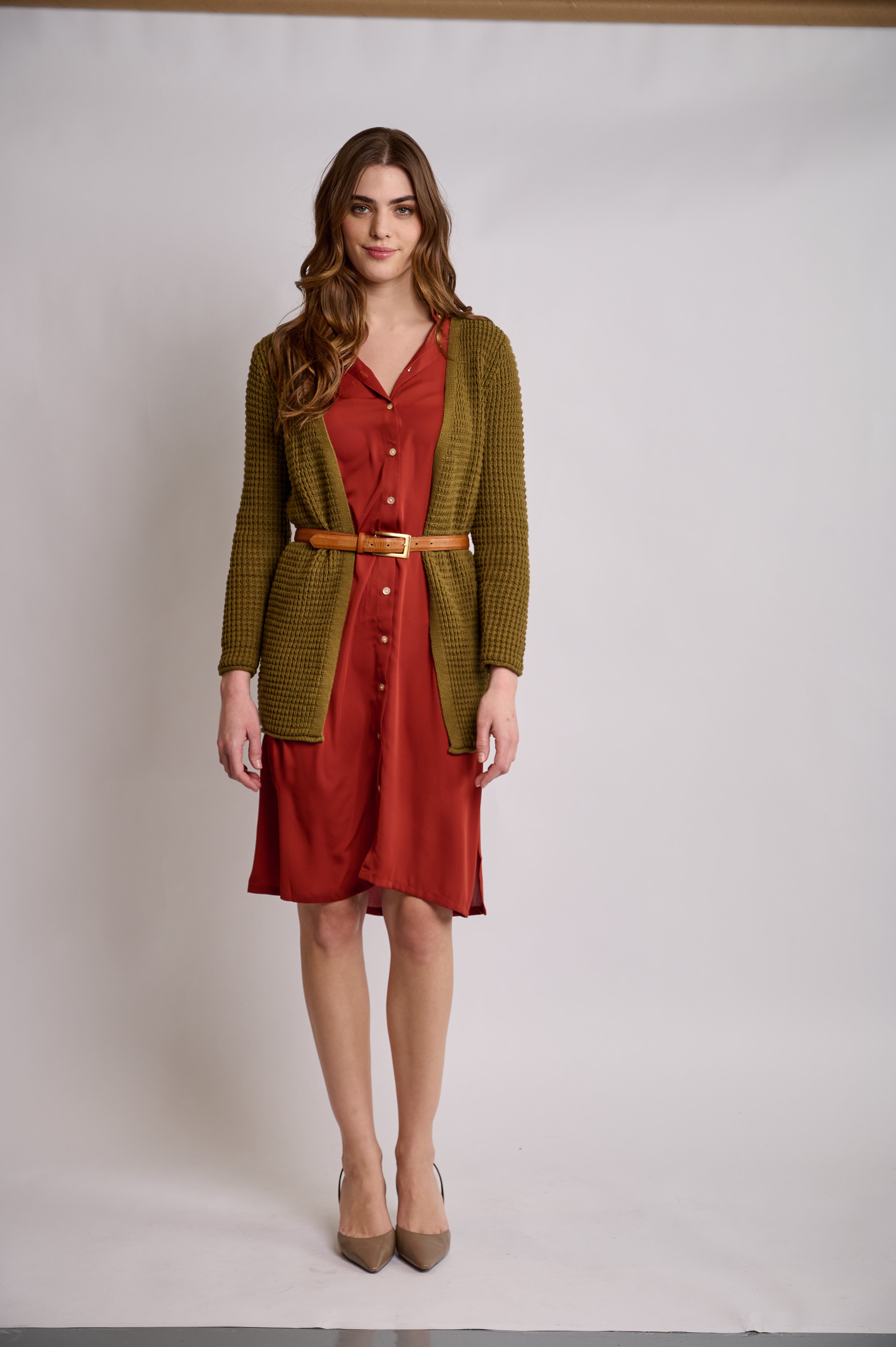Belted Rust Dress