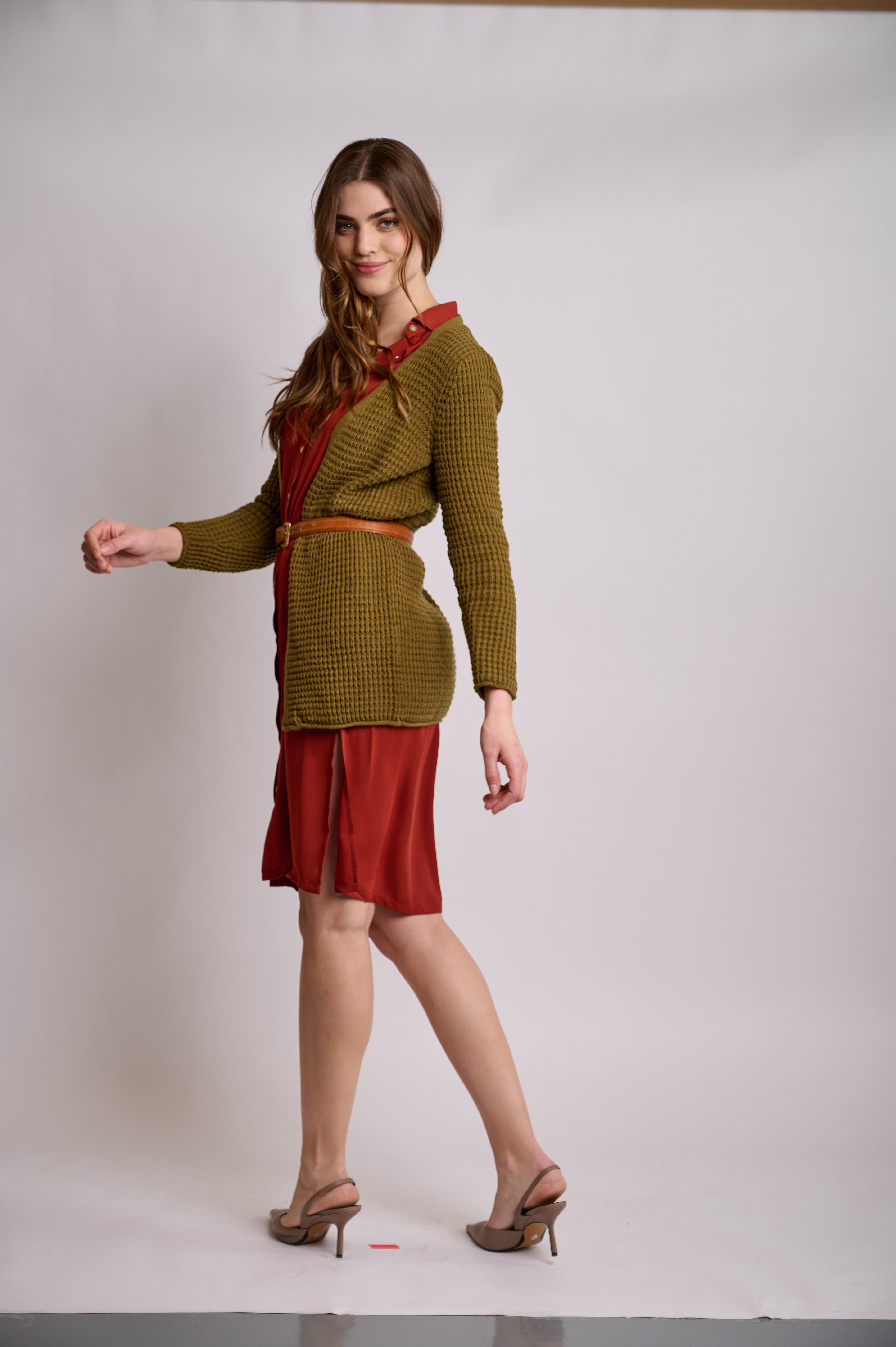 Belted Rust Dress