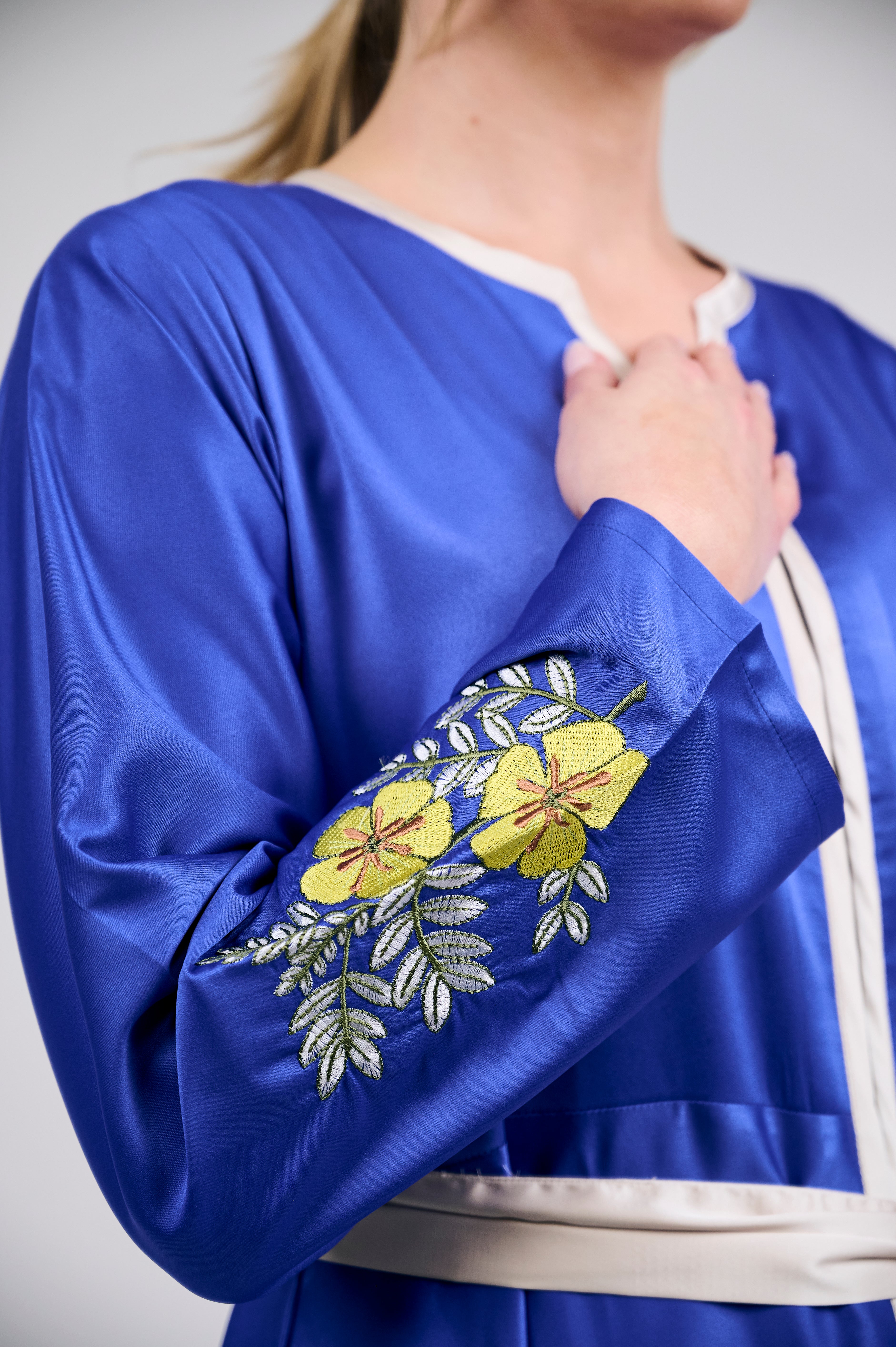 Elegant Royal Blue Embroidered Dress