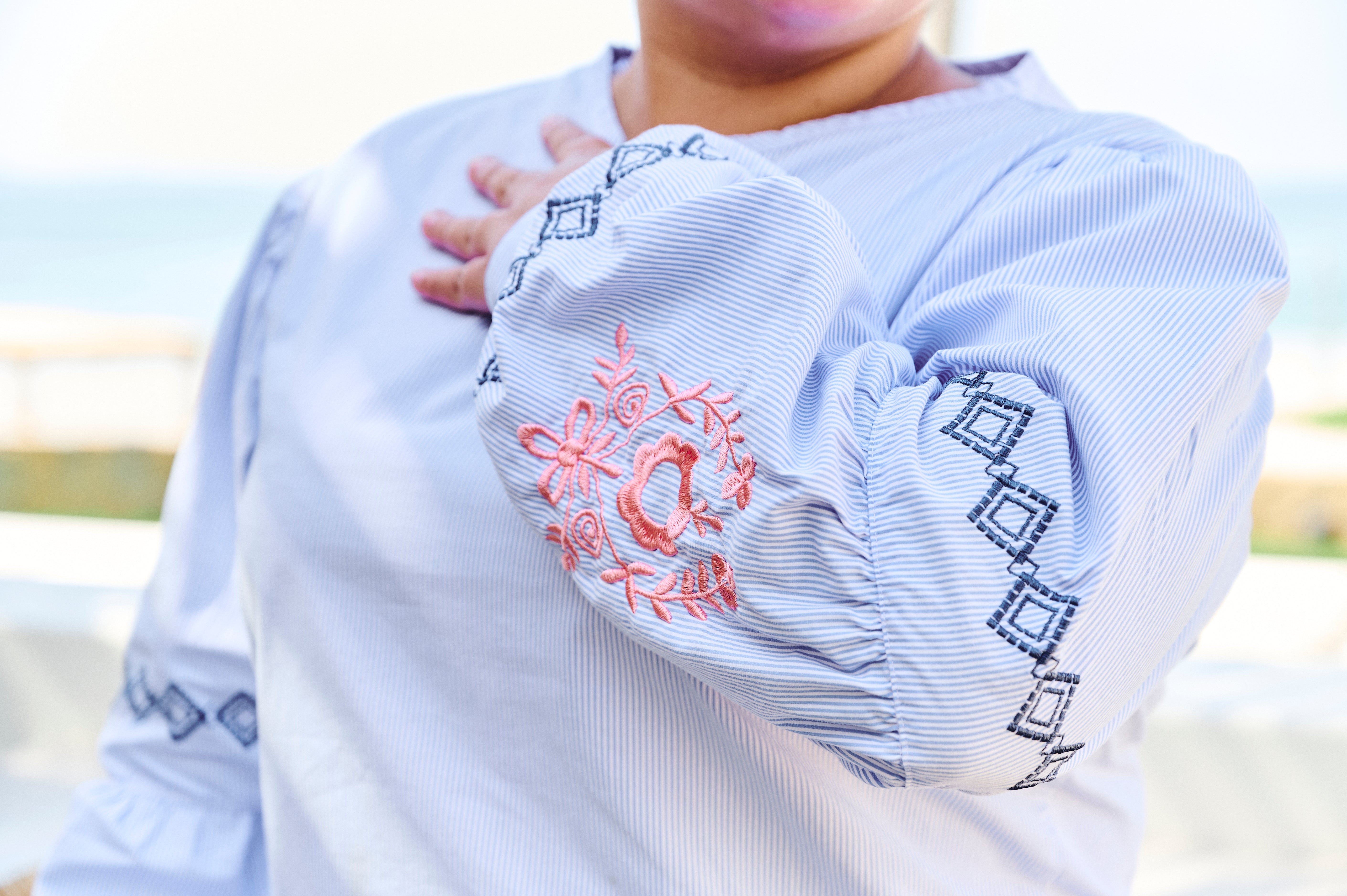 Embroidered Striped Blouse
